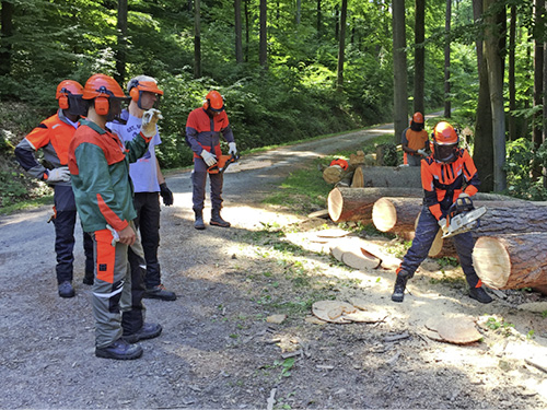 STIHL training in Waiblingen, Germany.