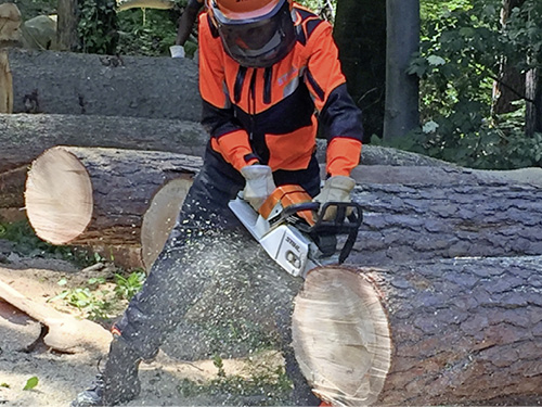 STIHL training in Waiblingen, Germany.